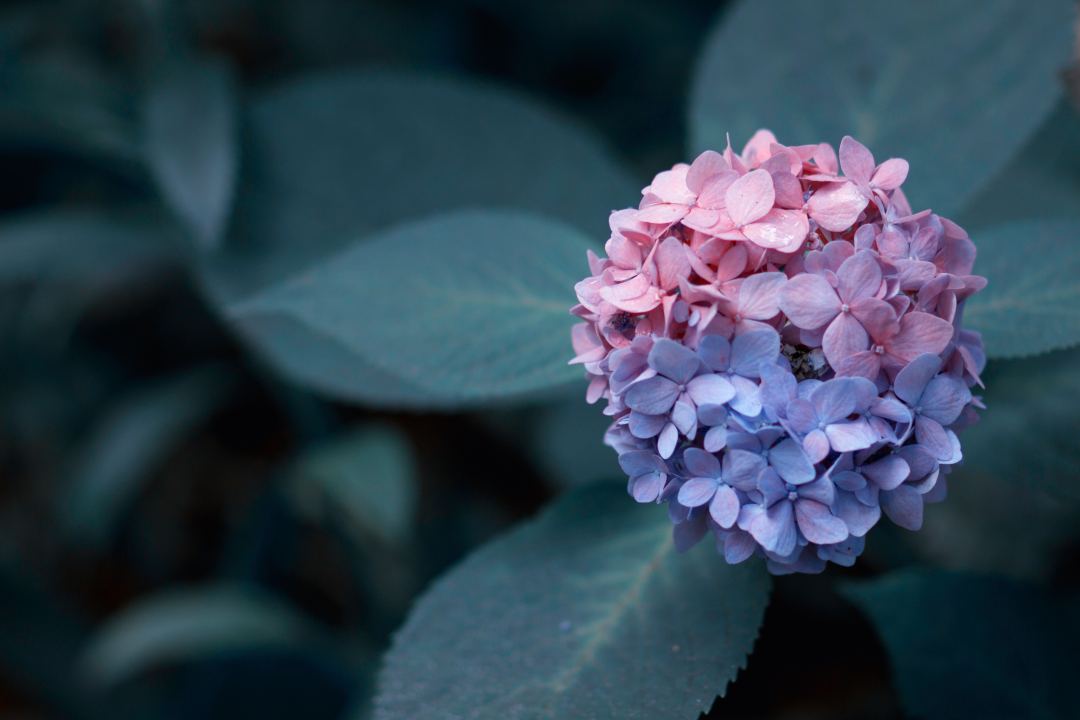 員工福利平臺：職業(yè)健康體檢要花費(fèi)多少錢？