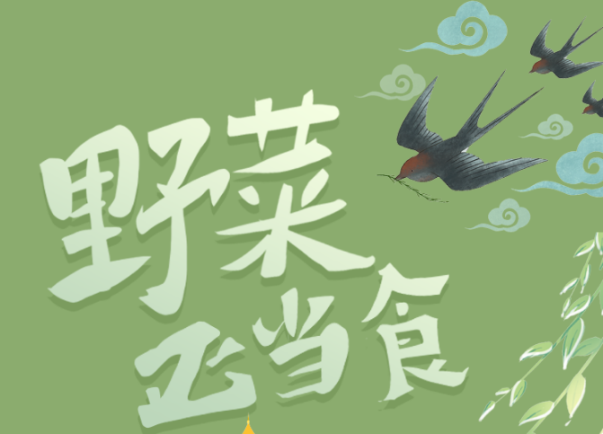 福利plus|野菜正當“食”，當心別采錯了！