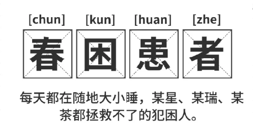 福利plus|打工人續(xù)命指南：提神零食清單+5分鐘暴汗操，一鍵領(lǐng)?。? title=